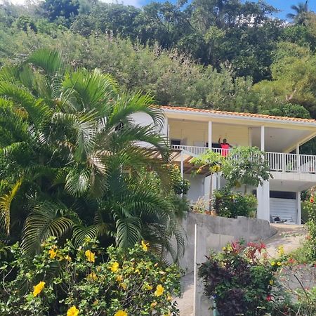 Villa Zephyr Domaine Roses Des Vents 圣玛丽 外观 照片